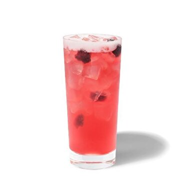 Berry Hibiscus Refresha®